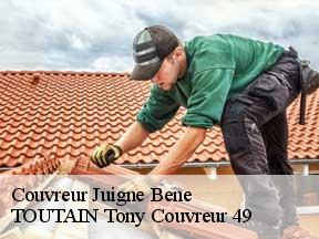 Couvreur  juigne-bene-49460 TOUTAIN Tony Couvreur 49