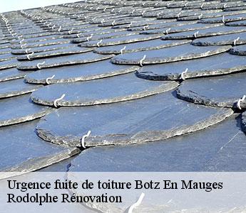 Urgence fuite de toiture botz-en-mauges-49110 Rodolphe Rénovation