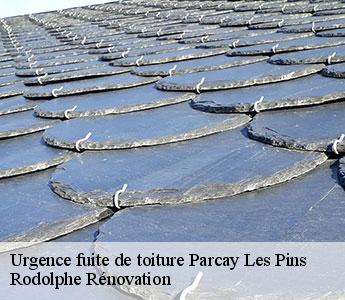 Urgence fuite de toiture parcay-les-pins-49390 Rodolphe Rénovation