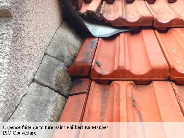 Urgence fuite de toiture saint-philbert-en-mauges-49600 TOUTAIN Tony Couvreur 49