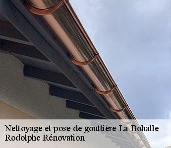 Nettoyage et pose de gouttière  la-bohalle-49800 Rodolphe Rénovation
