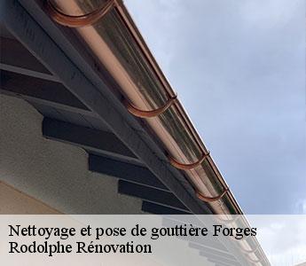 Nettoyage et pose de gouttière  forges-49700 Rodolphe Rénovation