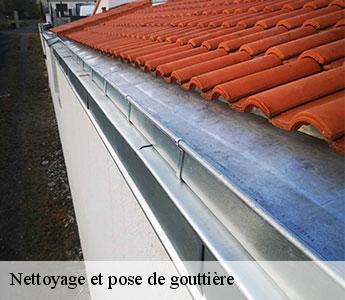 Nettoyage et pose de gouttière
