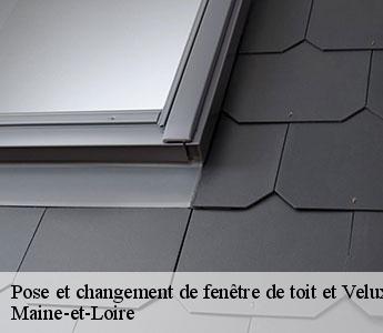 Pose et changement de fenêtre de toit et Velux Maine-et-Loire