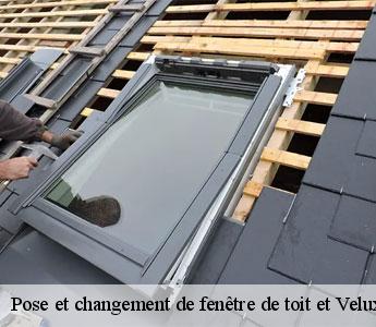 Pose et changement de fenêtre de toit et Velux