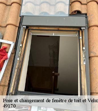 Pose et changement de fenêtre de toit et Velux  49170