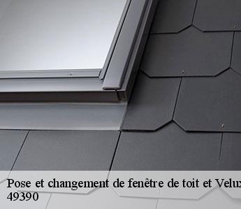 Pose et changement de fenêtre de toit et Velux  49390