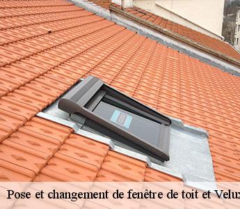 Pose et changement de fenêtre de toit et Velux