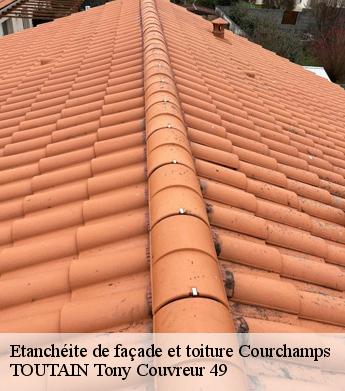Etanchéite de façade et toiture  courchamps-49260 TOUTAIN Tony Couvreur 49