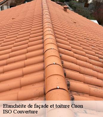 Etanchéite de façade et toiture cuon-49150 ISO Couverture