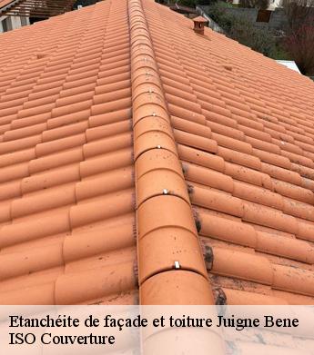 Etanchéite de façade et toiture juigne-bene-49460 ISO Couverture