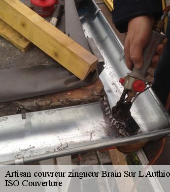 Artisan couvreur zingueur brain-sur-l-authion-49800 ISO Couverture