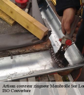 Artisan couvreur zingueur membrolle-sur-longuenee-49220 ISO Couverture