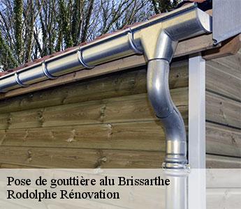 Pose de gouttière alu brissarthe-49330 Rodolphe Rénovation