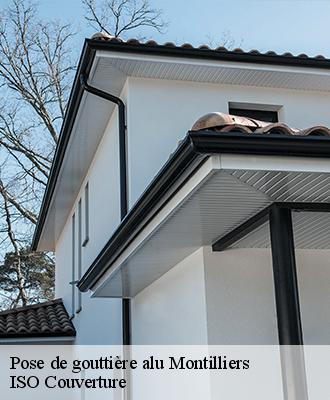 Pose de gouttière alu montilliers-49310 ISO Couverture